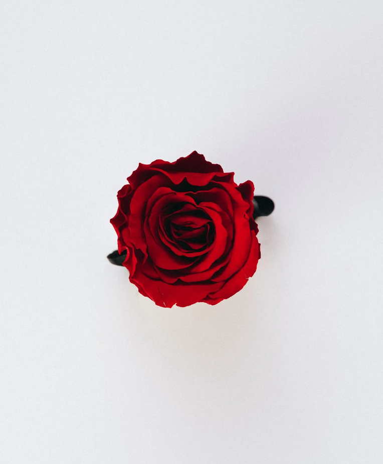 Rosa AIRLAND